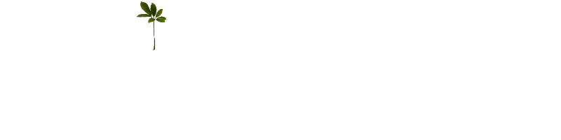 mazingiradriveschool.mwalimuresources.co.ke