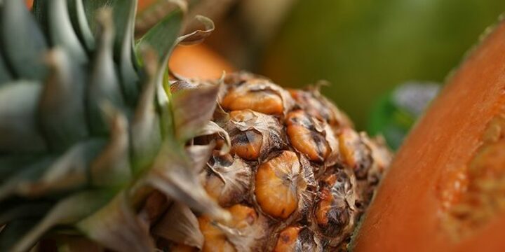 Gesund bleiben | Unifontis - Praxis für integrative Onkologie | Dekobild Ananas