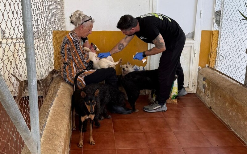 werden vor Übergabe tierärztlich komplett durchgecheckt,