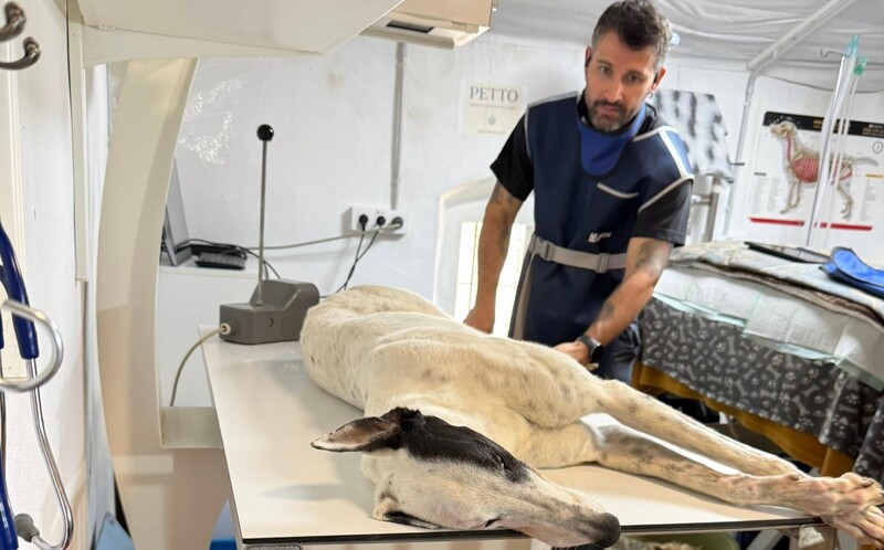 tierärztlich kompetent untersucht