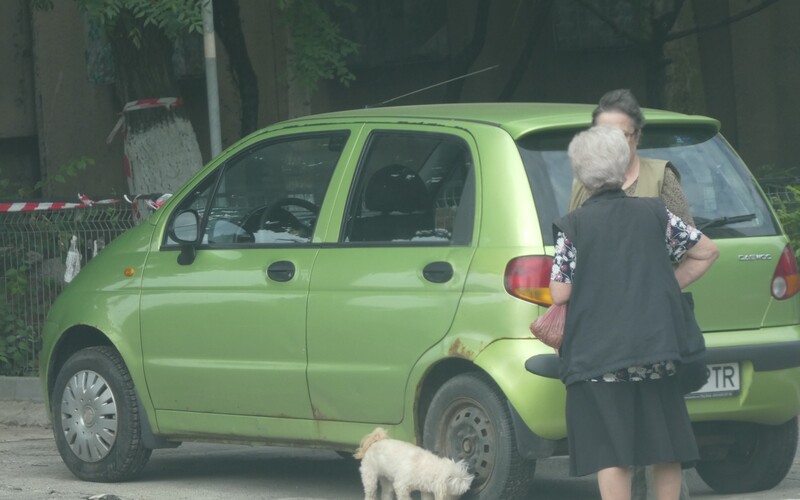 Kleiner Streuner schnüffelt an einem Auto in Bukarest.
