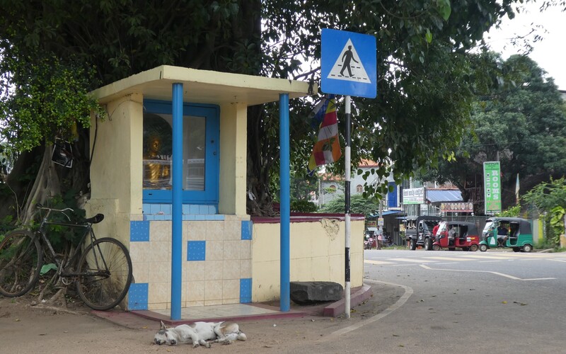 Schlafender Streuner an einer Bushaltestelle in Kandy.
