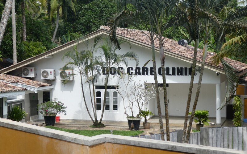 Die Dog Care Clinic ist ein herausragendes Tierschutzprojekt im Süden Sri Lankas.
