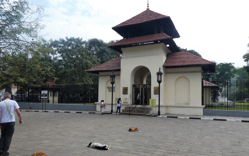 Schlafende Streuner vor einer buddhistischen Tempelanlage in Kandy.
