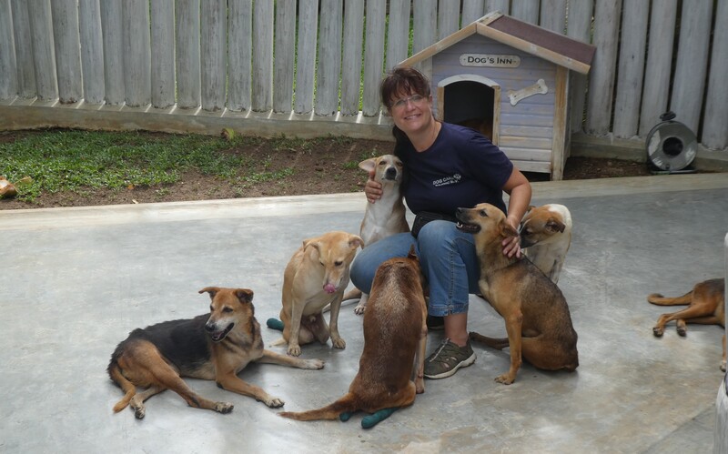 die aufwändige Versorgung und Betreuung körperlich eingeschränkter Hunde mit besonderen Bedürfnissen,