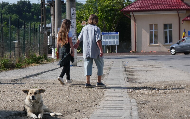 Für die rumänische Bevölkerung sind Streuner alltäglich. Sie finden daher kaum Beachtung.
