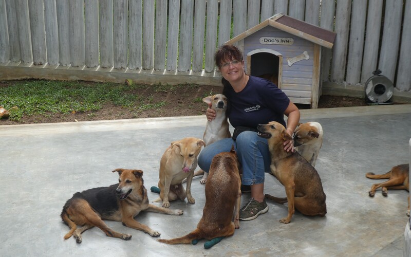 die aufwändige Versorgung und Betreuung körperlich eingeschränkter Hunde mit besonderen Bedürfnissen,
