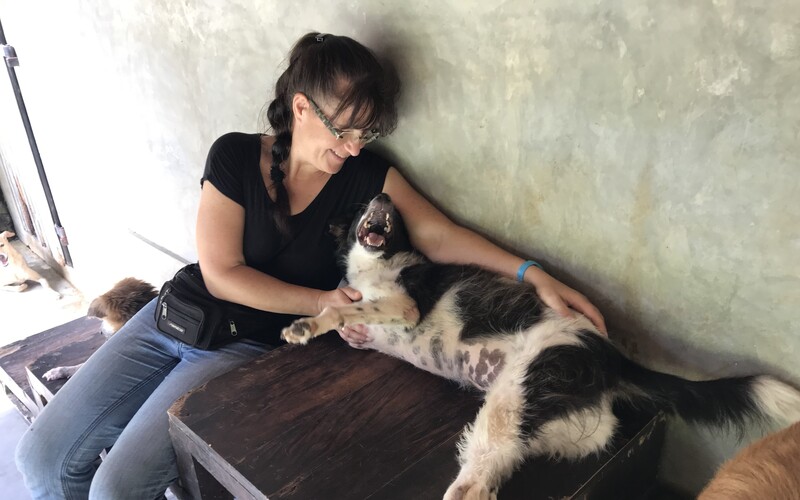 Hier wird wirklich alles dafür getan, dass es den beherbergten Hunden gut geht.