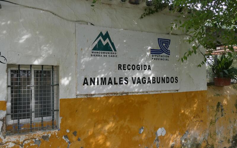 Die Auffangstation "Recogida Animales Vagabundos" befindet sich nahe Villamartin in Andalusien.