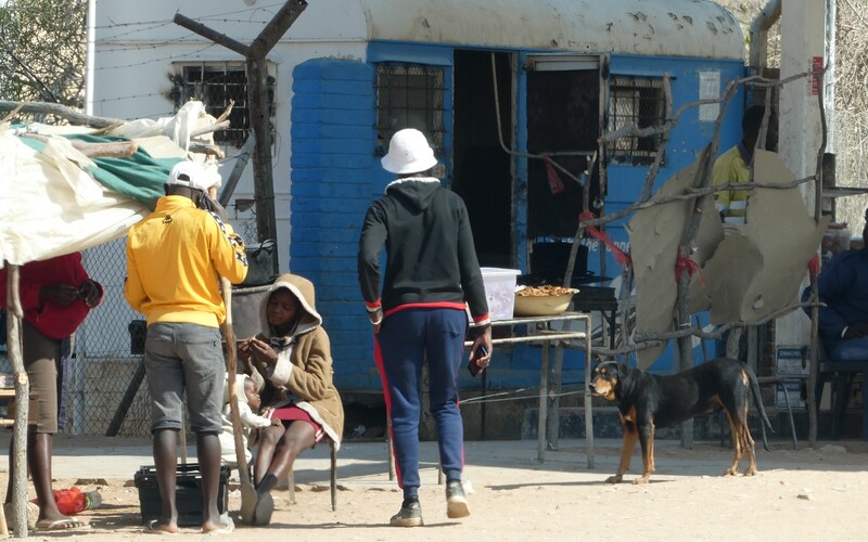 Ein Streuner erhofft sich Nahrung von Einheimischen in Nordnamibia.