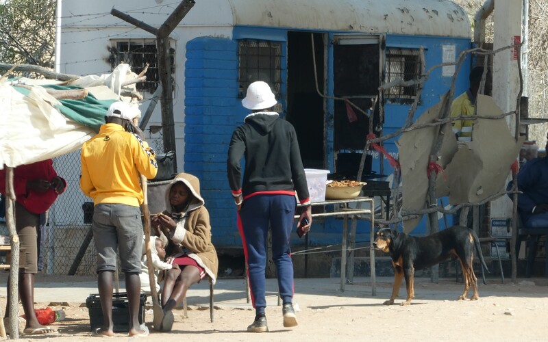 Ein Streuner erhofft sich Nahrung von Einheimischen in Nordnamibia.