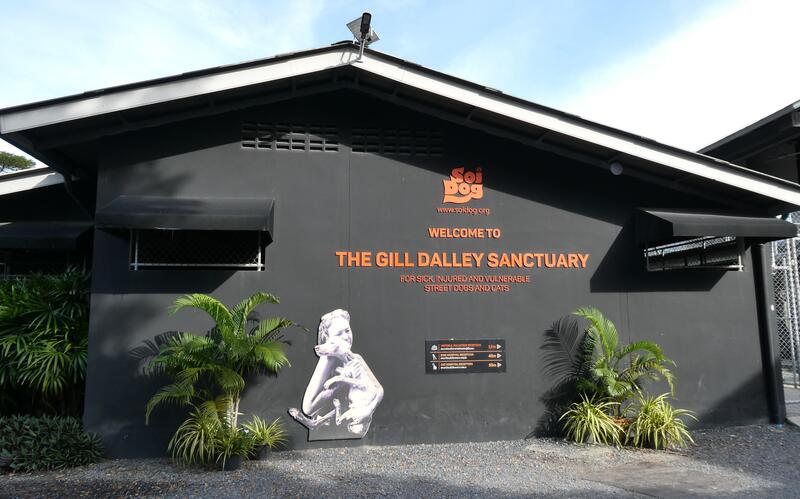 Die Soi Dog Foundation in Phuket steht für einen ganzheitlichen Ansatz: