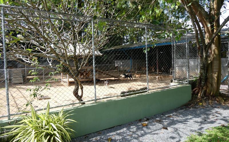 versorgen eine große Zahl an Tierpflegern sorgfältig zusammengestellte Hundegruppen.