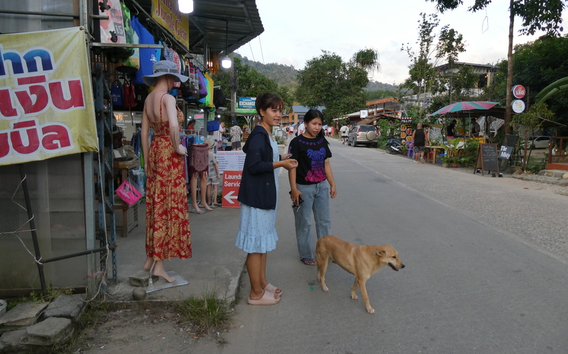 In Süd-Thailand ist die Zahl der Streunerhunde, zumeist frei laufende Besitzerhunde, überschaubar.
