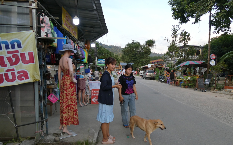 In Süd-Thailand ist die Zahl der Streunerhunde, zumeist frei laufende Besitzerhunde, überschaubar.
