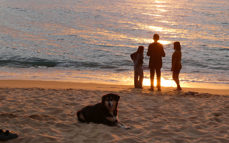 am Strand,

