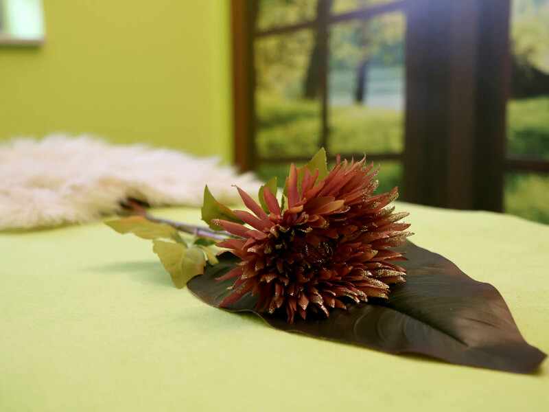 Kieler Naturheilpraxis Kerstin Gertz