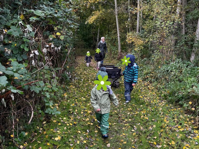 Kindertagespflege Mäuseland