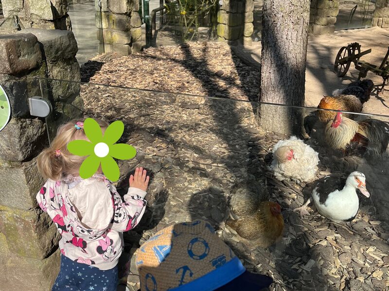 Kindertagespflege Mäuseland