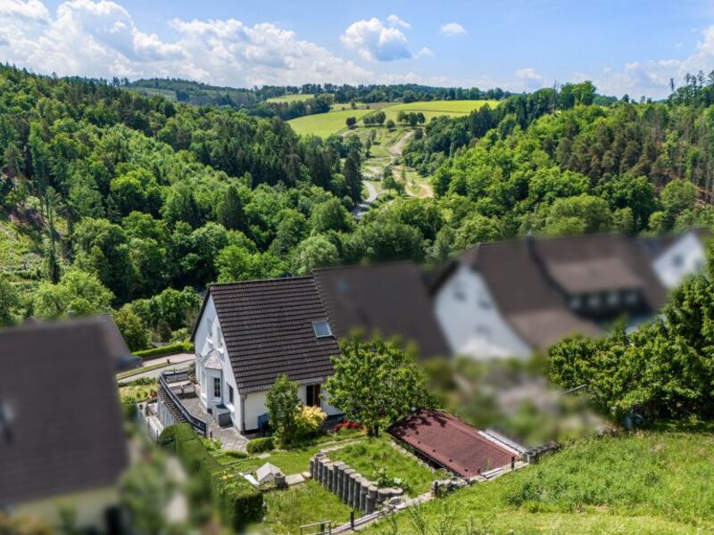 Detailaufnahmen & besondere Perspektiven