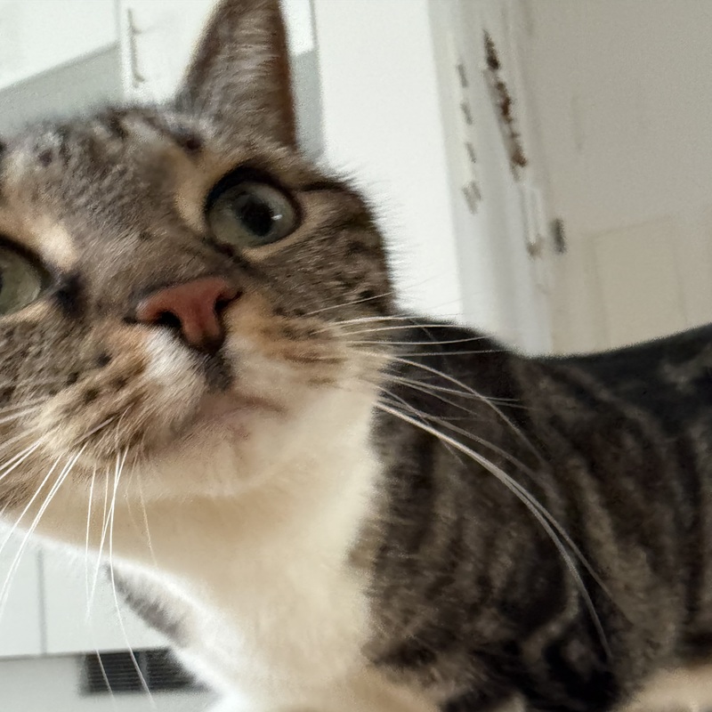 Neugiermodus aktiviert. Lia hat alles im Blick.