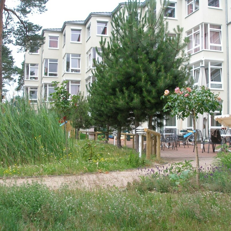 Spazierstrecke in Rollstuhlbreite mit hochwachsenden, sinnesanregenden Duftpflanzen.