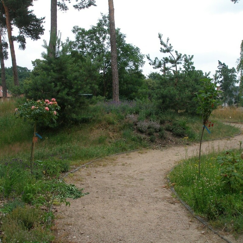 Sinnesgarten mit barrierefreiem Rundweg in Rollstuhlbreite und leichter Steigung