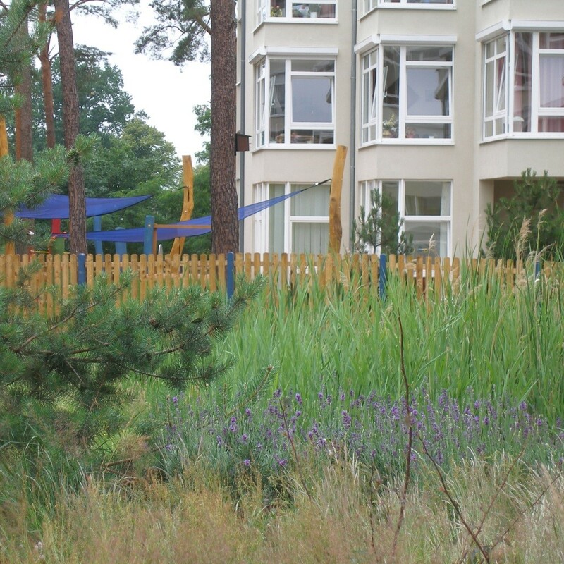 Begrünung des Wegrandes