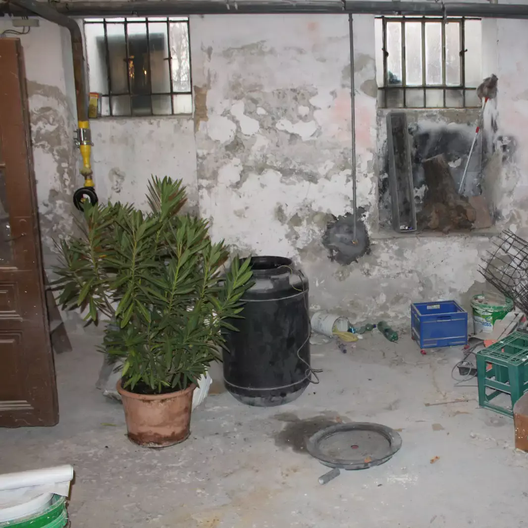 Entrümpelungsservice-Niederösterreich-Kellerräumung