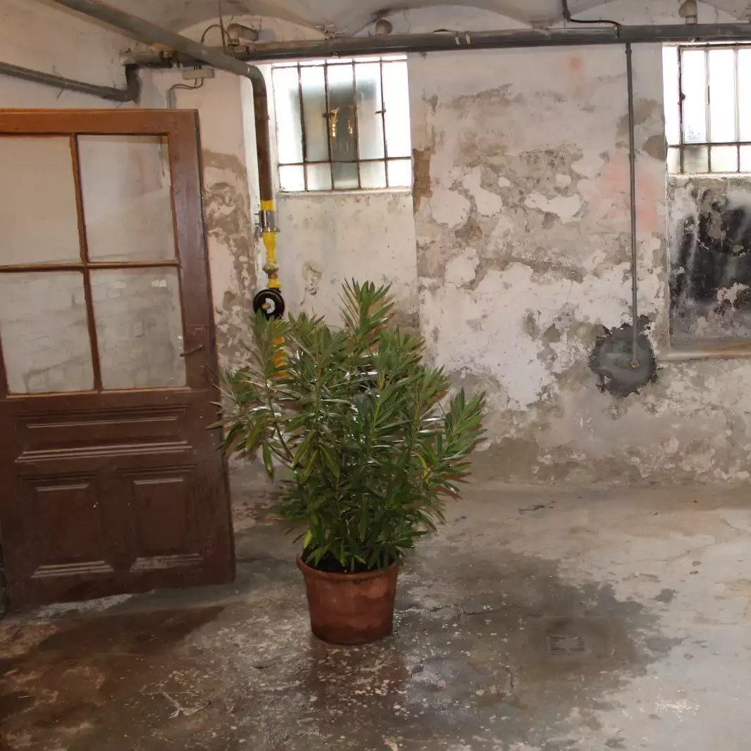 Entrümpelungsservice-Niederösterreich-Keller-besenrein