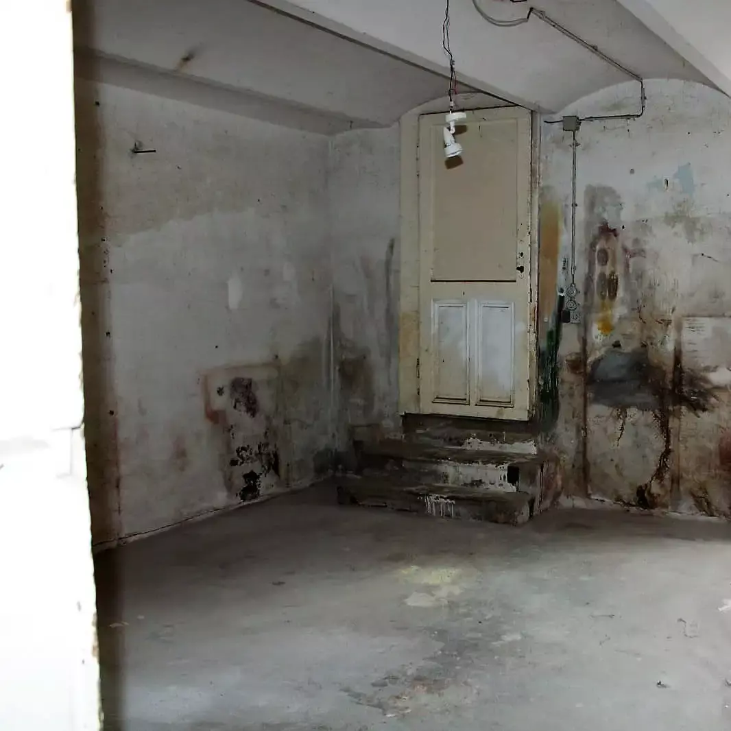 Räumungsfirma-Wien-professionell