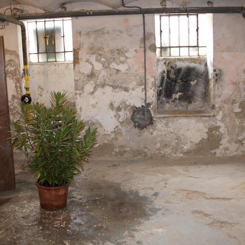 Kellerentrümpelung Wien