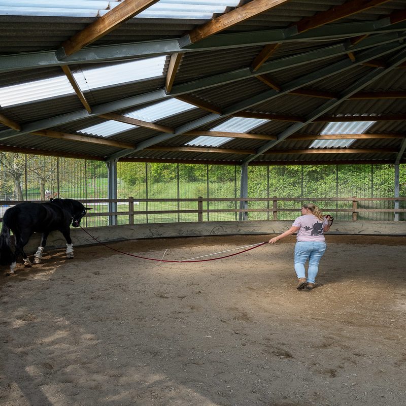 Ein Traum für Pferd und Mensch