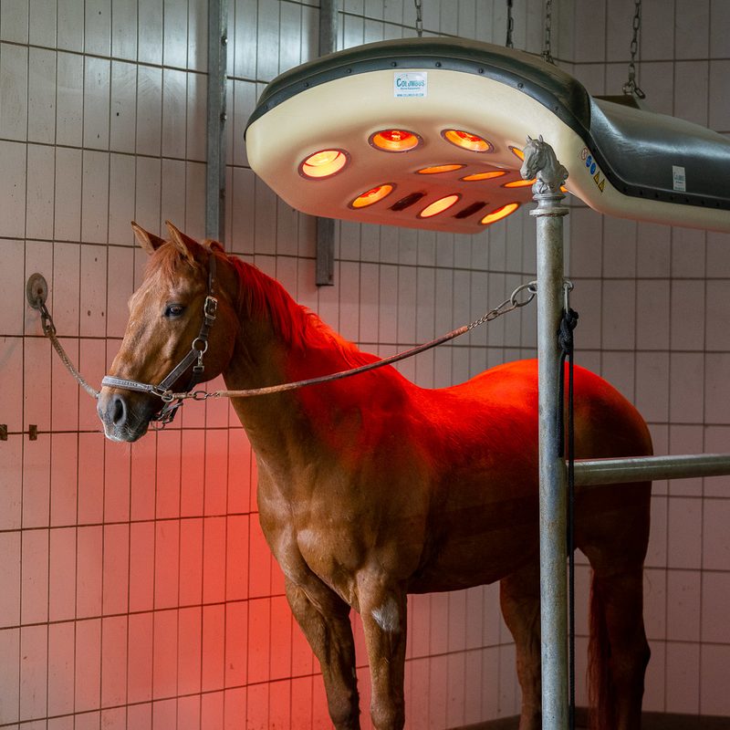 Solarium für die Muskulatur