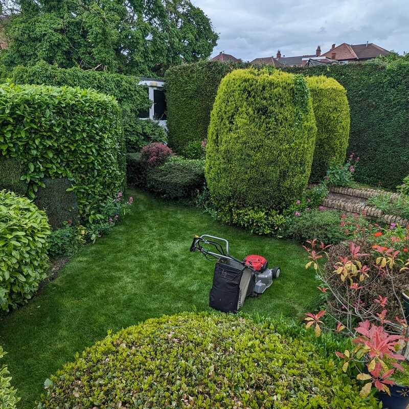 Full garden maintenance job in Bakersfield, Nottingham.