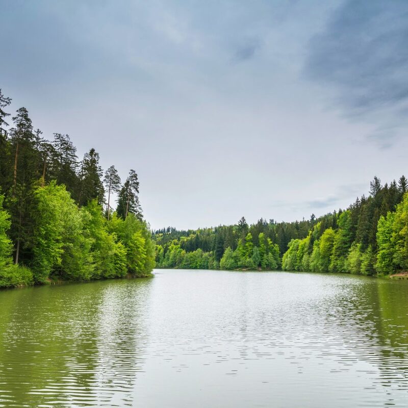 Entspannen am Herrenbachstausee