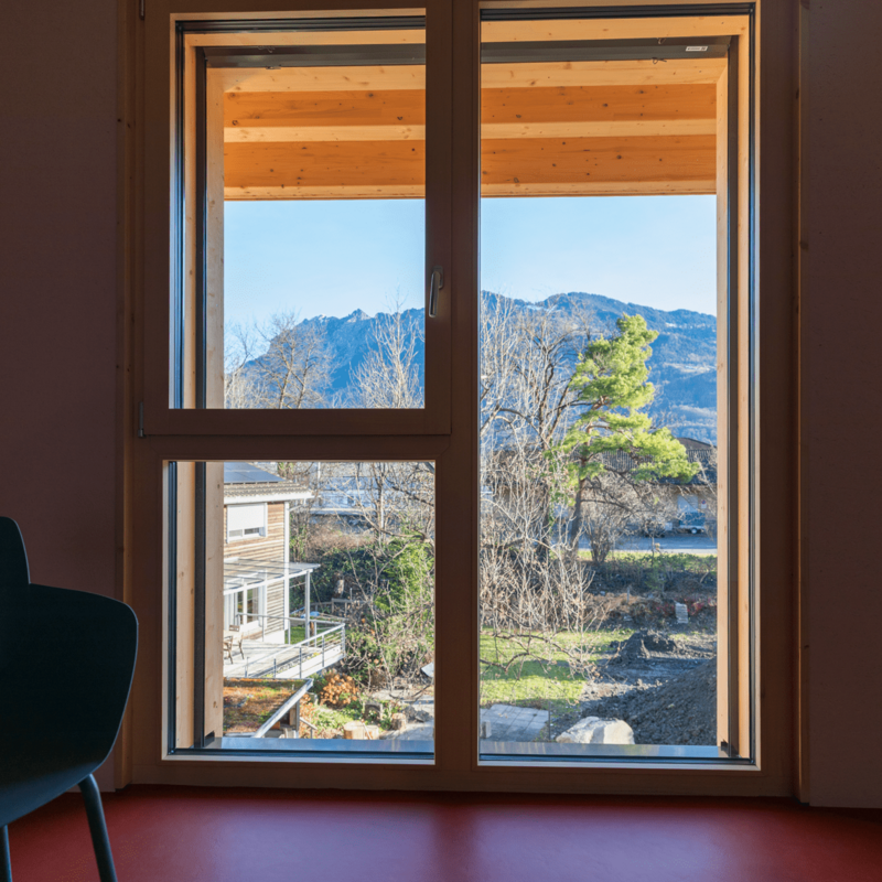 Blick auf Baumbestand und FL Berge