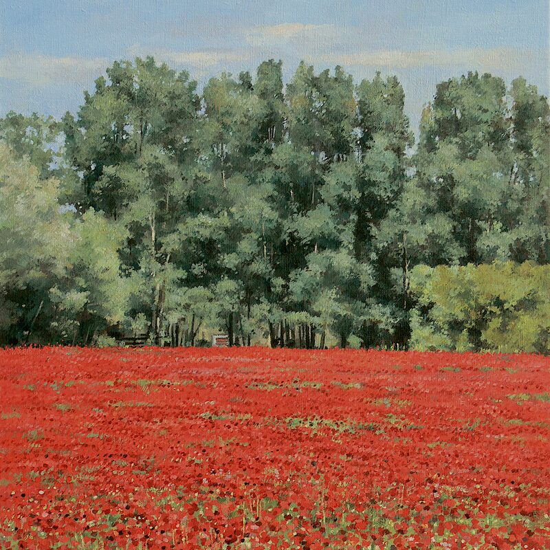 landscape nearby oppède - vaucluse 2019, 21,7" x 17,3", oil on canvas