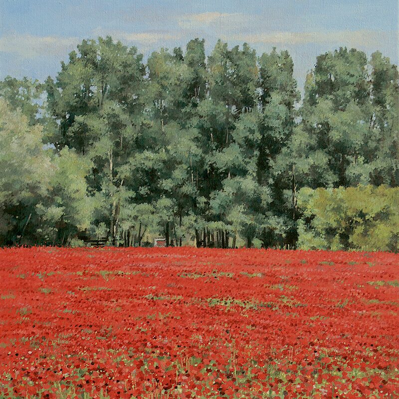 landschaft bei oppède - vaucluse 2019, 55 x 44 cm, öl auf leinwand