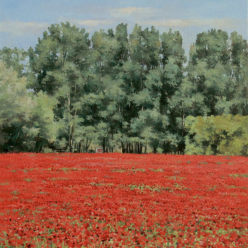 paysage près d'oppède - vaucluse 2019, 36 x 44 cm, huile sur toile