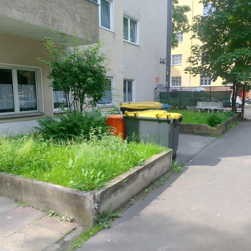 Vorher