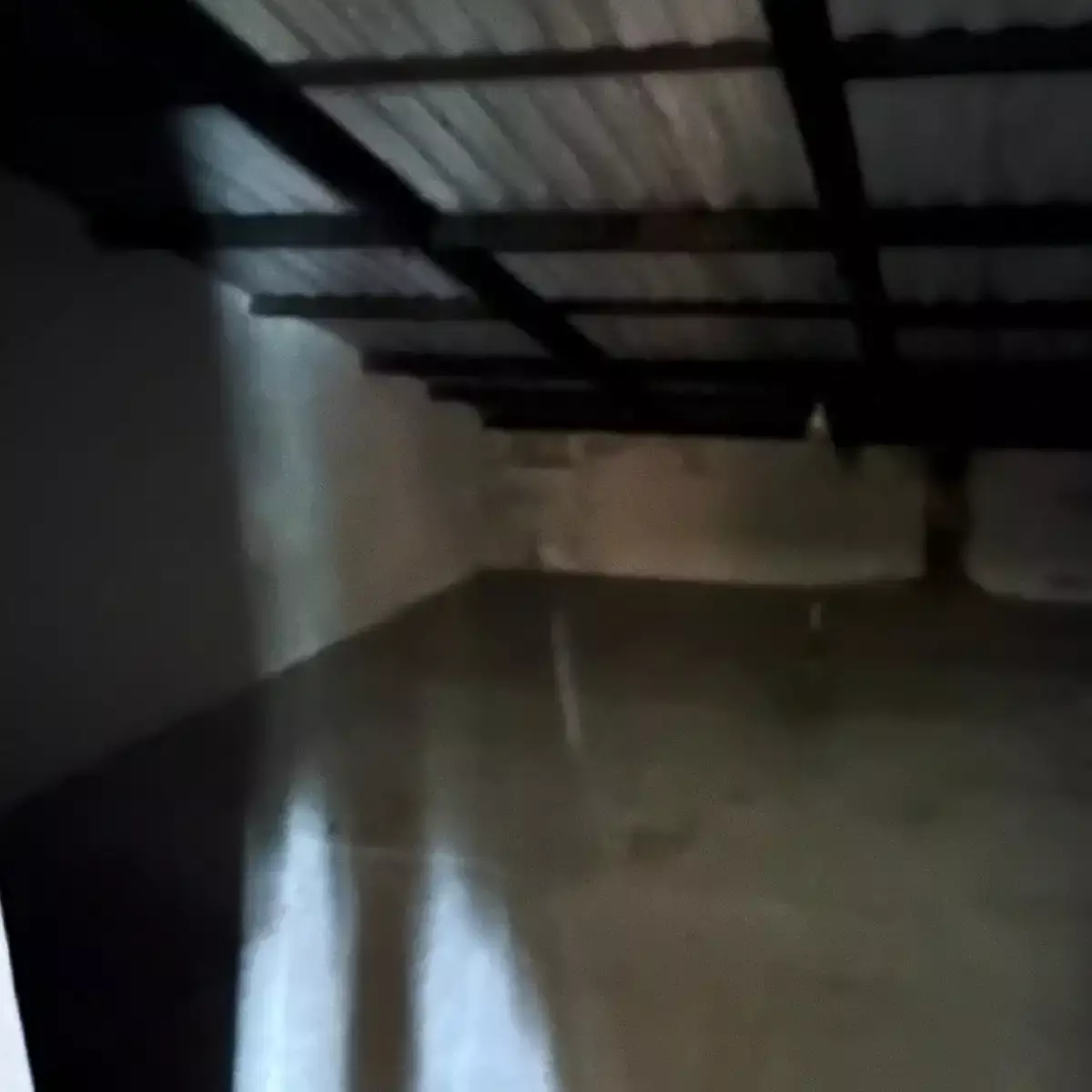 Haushaltsauflösung Wohnung besenrein