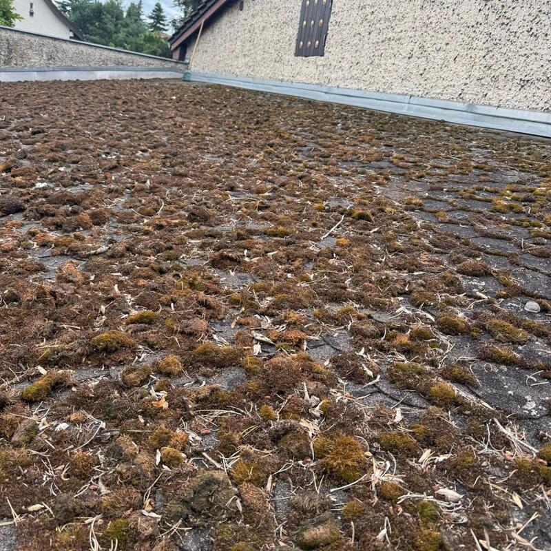 Dachfläche vor der Reinigung
