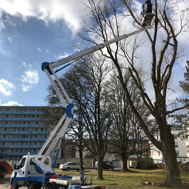 Brennecke Cleaning Hubwagenvermietung 1