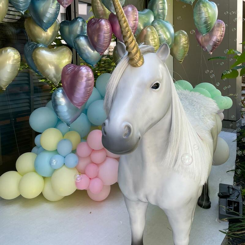 Einhorn I Pferd mieten I 