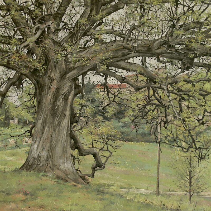 eiche, murs - vaucluse 2019, 75 x 60 cm, öl auf leinwand