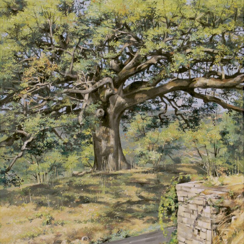 chêne, murs - vaucluse 2019, 55 x 44 cm, huile sur toile