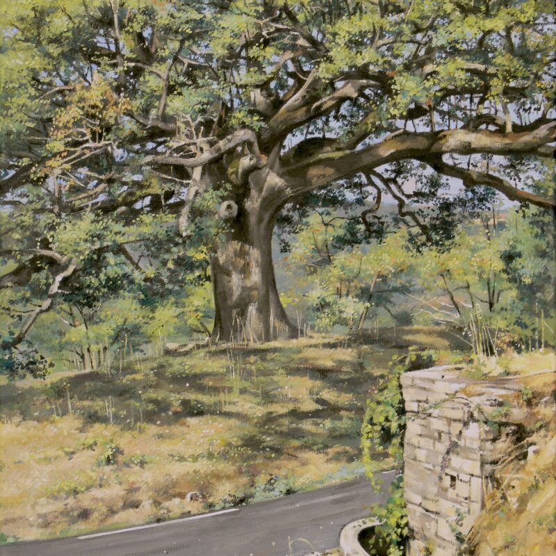oak, murs - vaucluse 2019, 21,7" x 17,3", oil on canvas