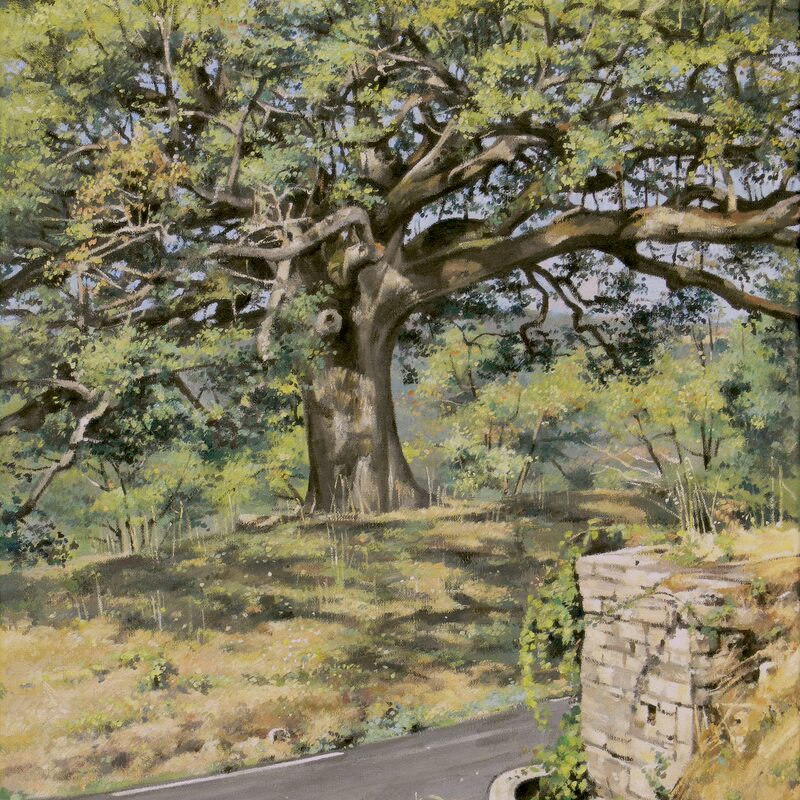 eiche, murs - vaucluse 2019, 55 x 44 cm, öl auf leinwand