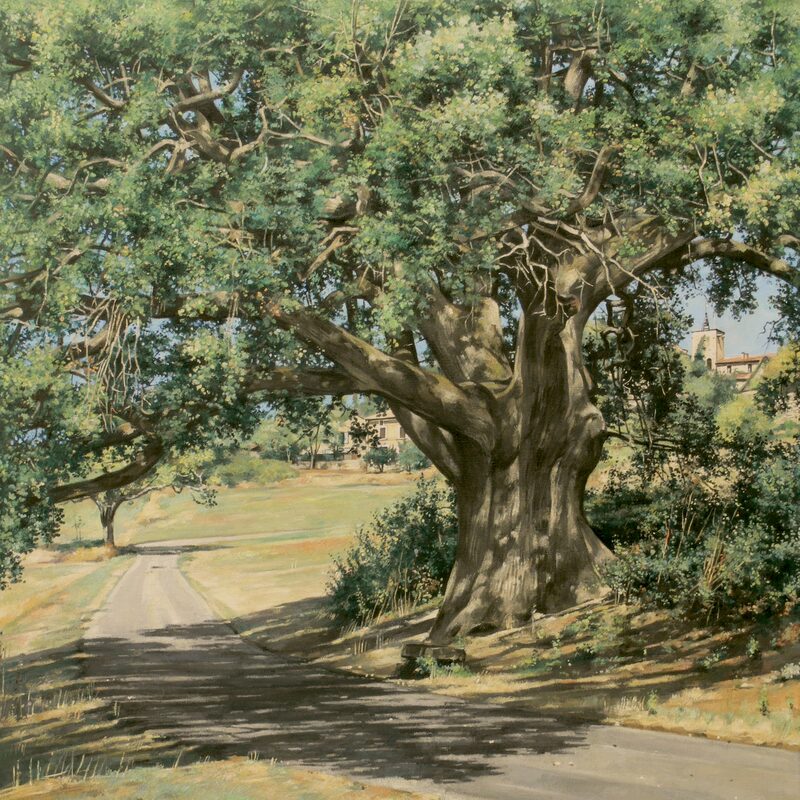 big oak of murs - vaucluse 2019, 37,4" x 31,5", oil on canvas